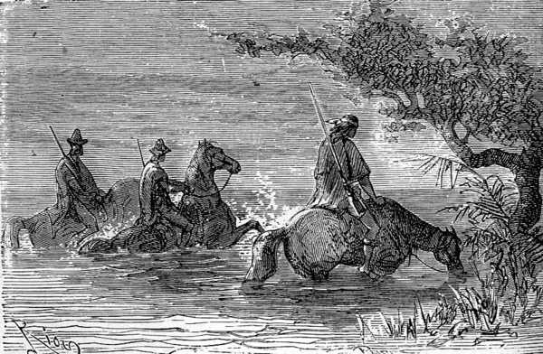 The horses plunged up to their chests in the water