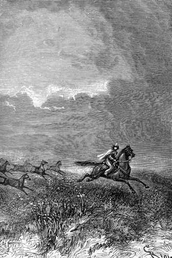 The red wolves launched in pursuit of the horse.